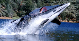 Bionic Dolphin