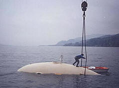 Concrete Submarine