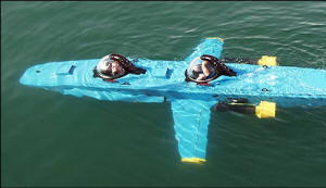 Deep Flight