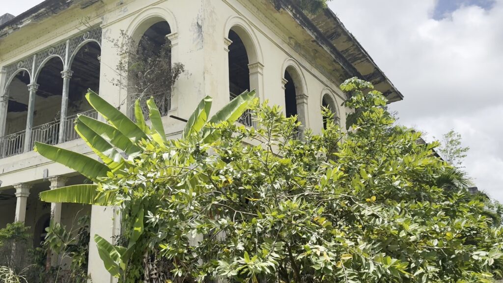 Martinique photo 1
