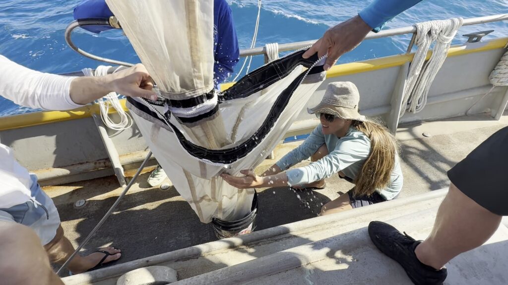 Key West Nanoplastics Expedition 2026 photo 5
