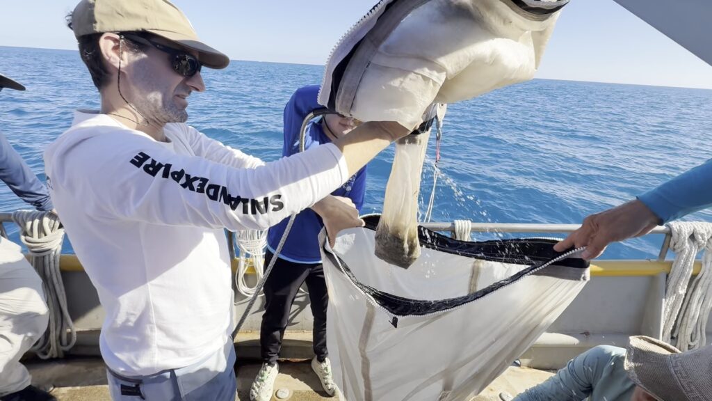 Key West Nanoplastics Expedition 2026 photo 6