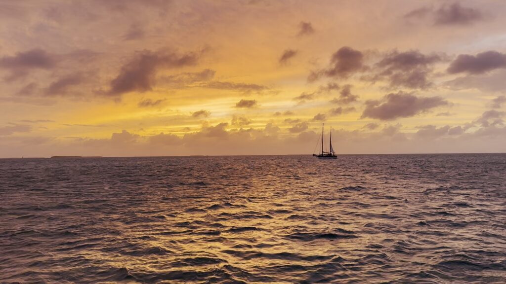 Key West Nanoplastics Expedition 2026 photo 21