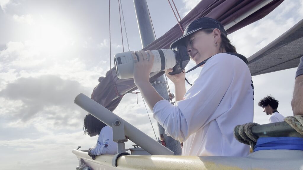 Dolphins of the Windward Islands photo 5