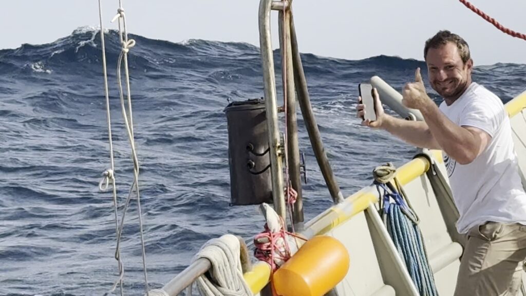 Dolphins of the Windward Islands photo 10
