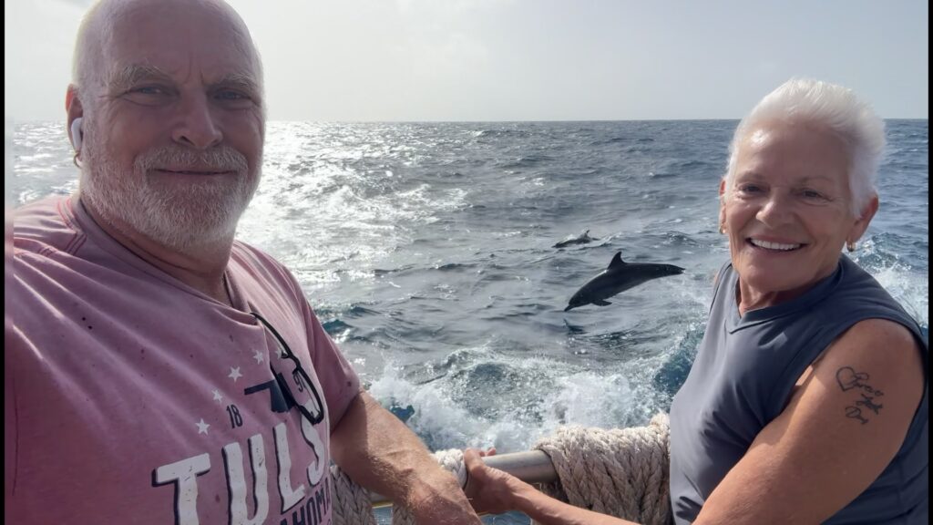 Dolphins of the Windward Islands photo 11