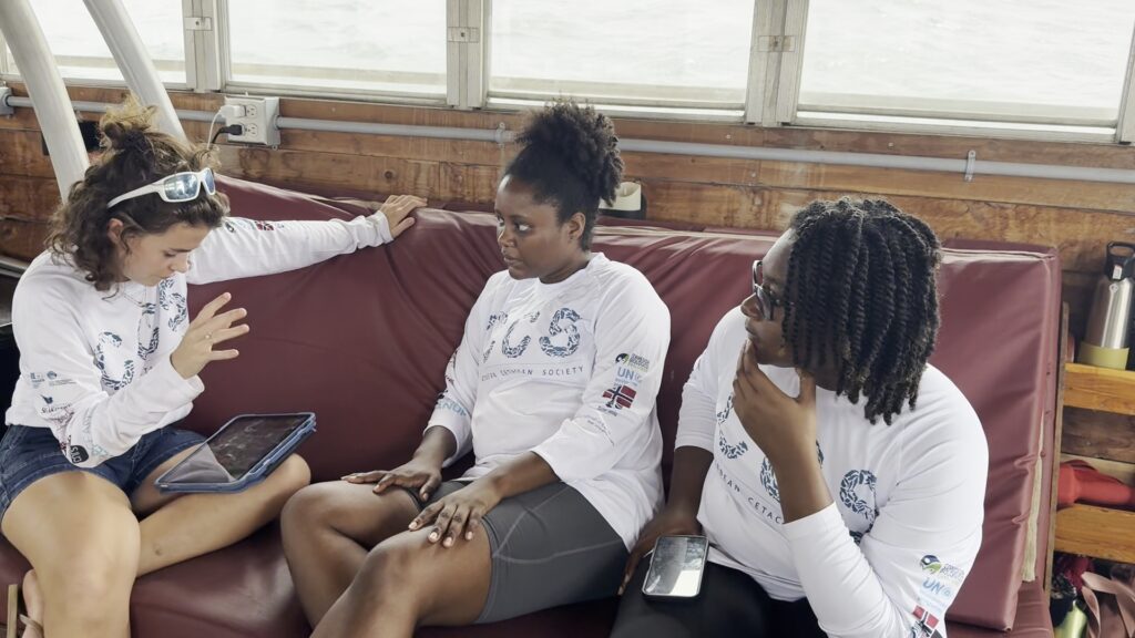 Caribbean Cetacean Society photo 1