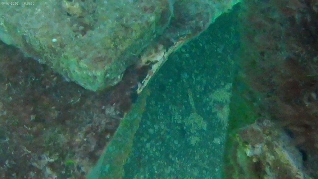 Rudder Problem photo 2