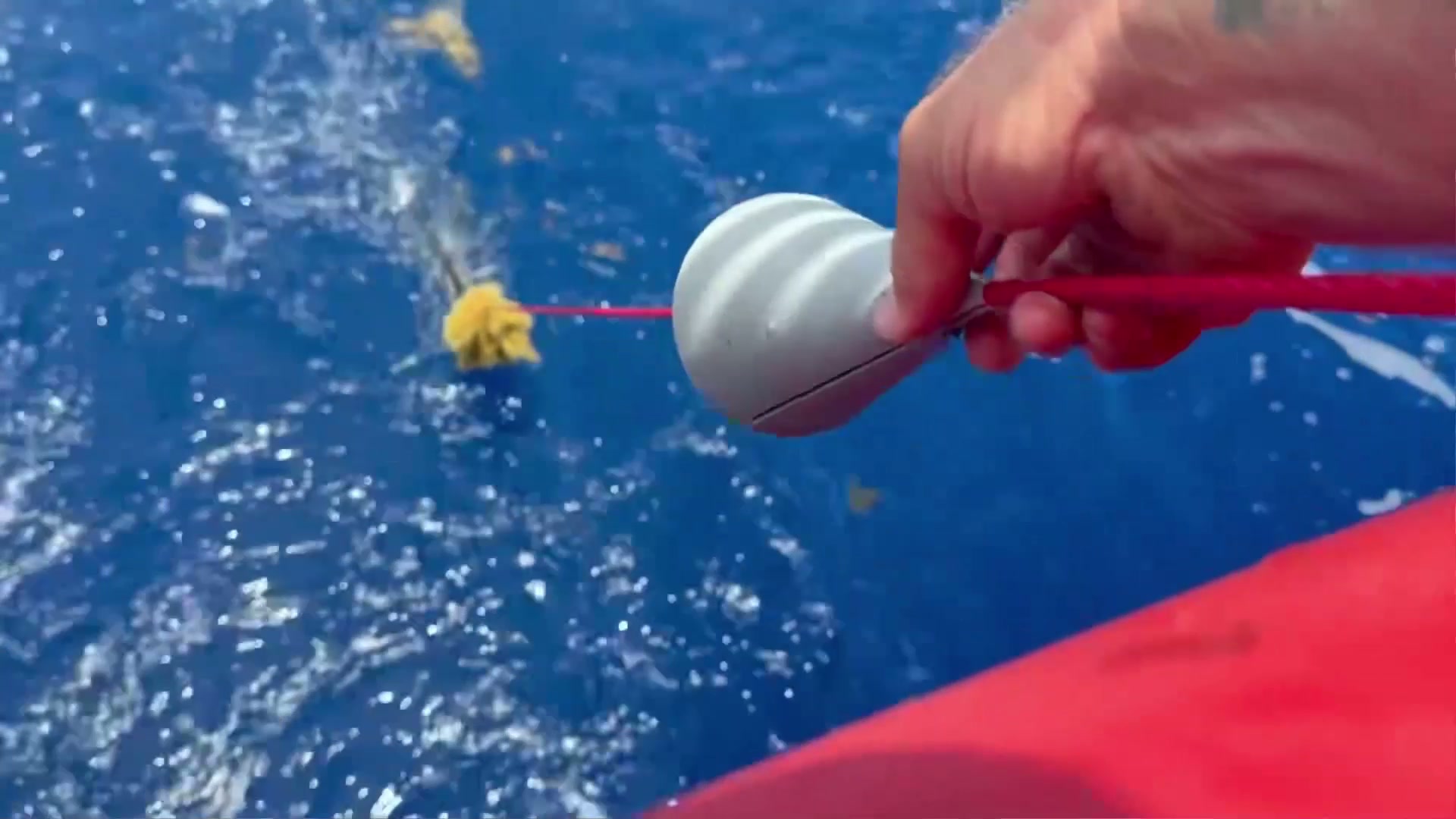 Trying to Keep Sargassum Off the Tow Lines still 4