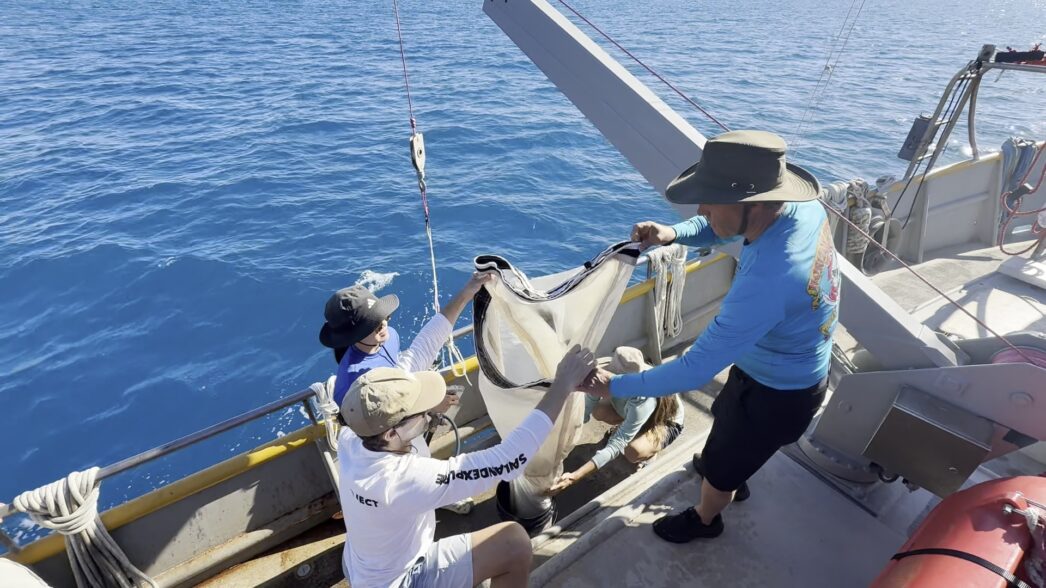 Key West Nanoplastics Expedition 2026 | SV Seeker